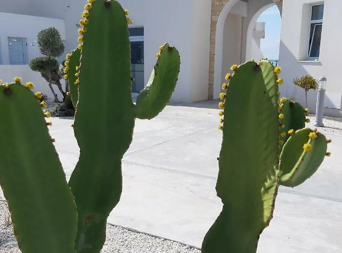 Blue Diamond 빌라 파포스